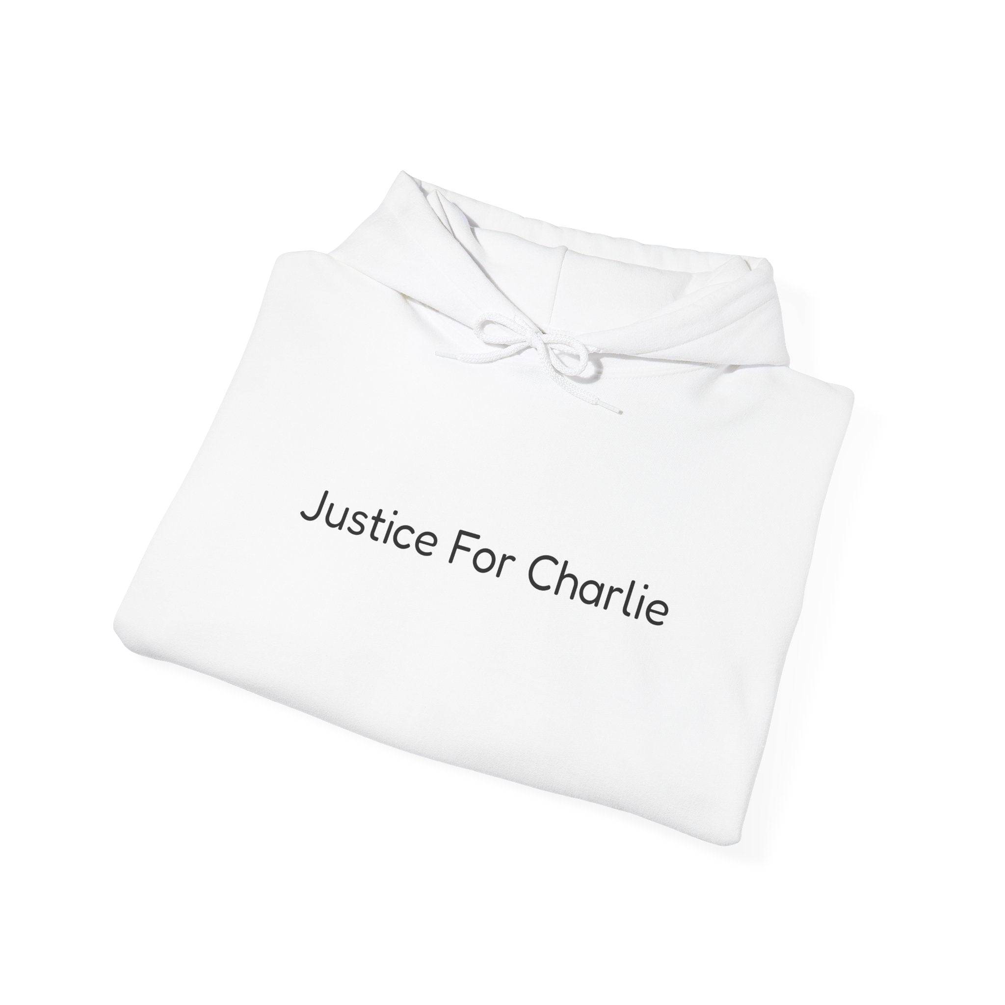 Justice For Charlie Hooded Sweatshirt