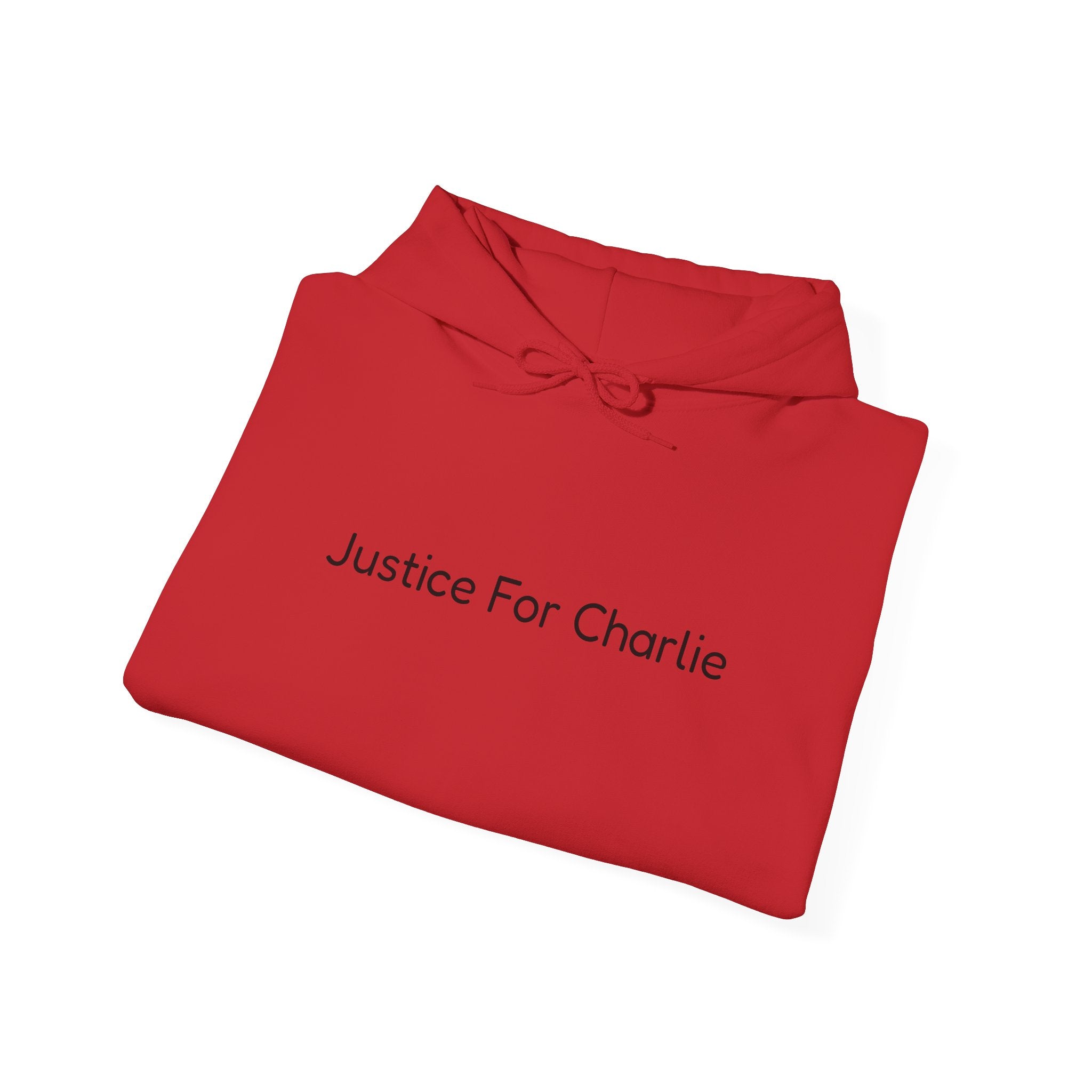 Justice For Charlie Hooded Sweatshirt