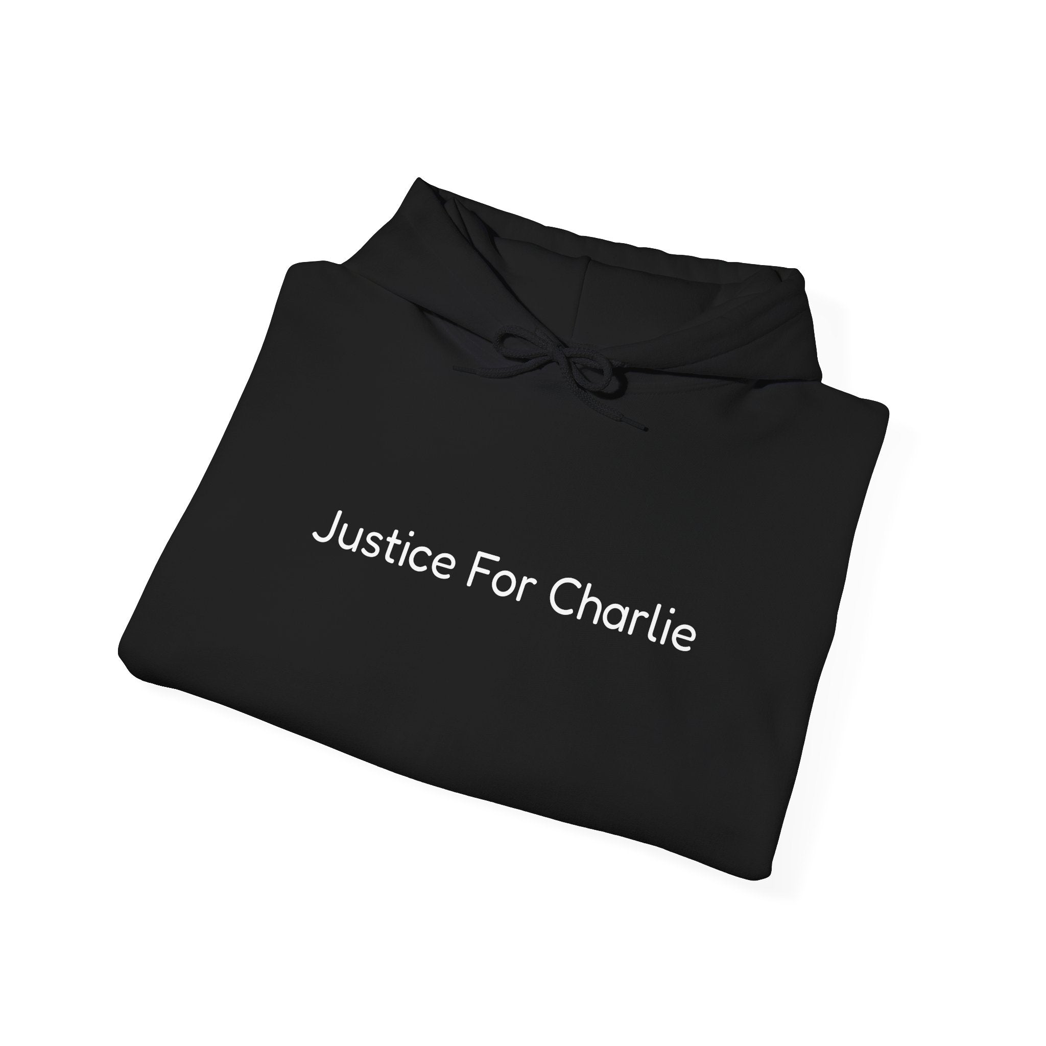 Justice For Charlie Hooded Sweatshirt
